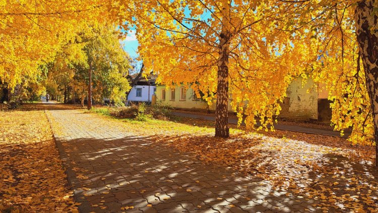 19 қазанда Павлодар облысында жауын-шашын болмайды